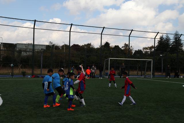 国际赛后警惕FIFA病毒 上个周期足彩连出大冷